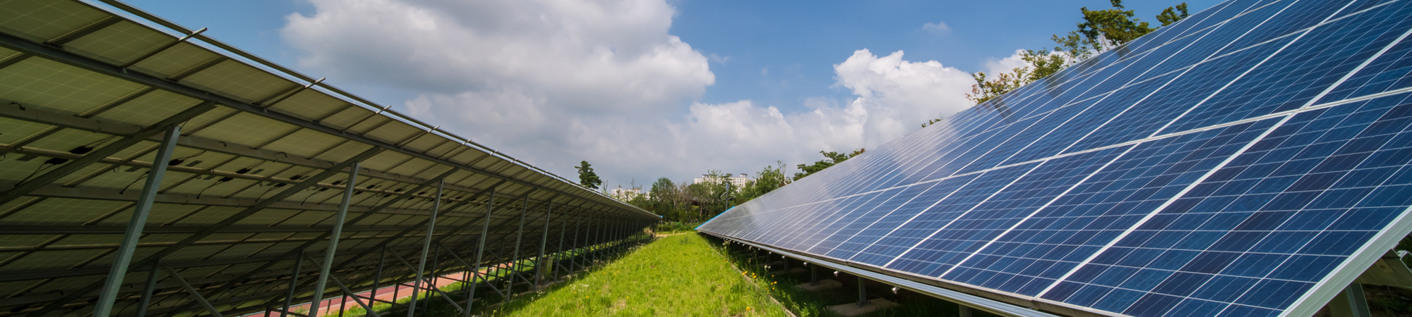 서브비주얼이미지